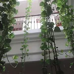 ホスタル バイア ゲストハウス 2*