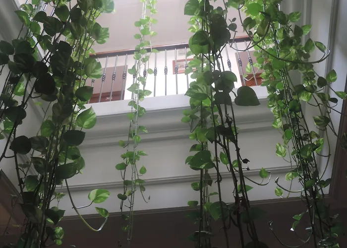 Bahia Гостевой дом 2*