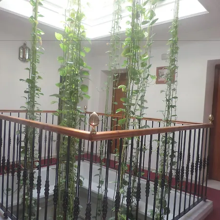 Guest house Bahia 2*